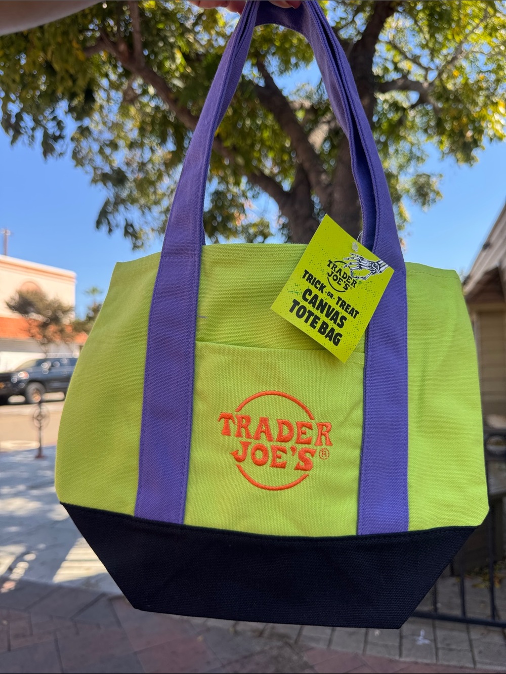Trader Joe's Halloween Green/Purple Canvas Mini Tote NWT
